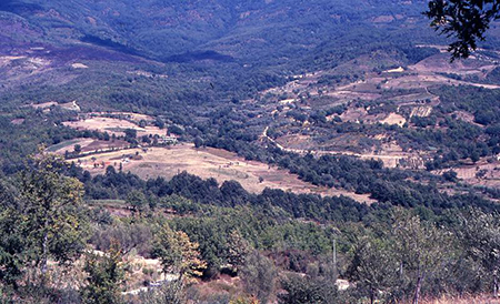 Caselle In Pittari (SA) - Indagini di scavo stratigrafico