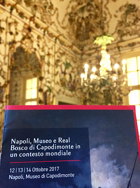 Napoli, Museo e Real Bosco di Capodimonte in un contesto mondiale