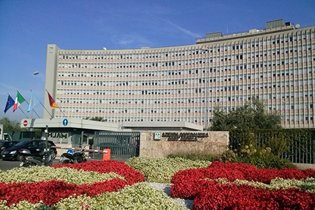 Ospedale Sant'Andrea di Roma