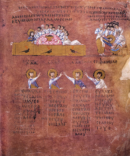 Codex purpureus