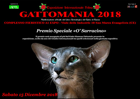 'Gattomania 2018' Premio Speciale ''O' Sarracino'