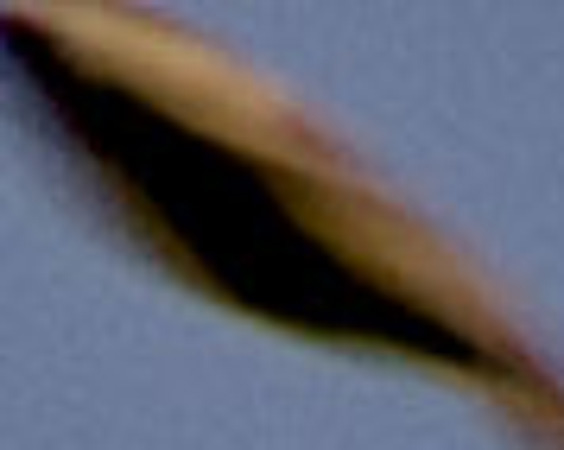 UFO Napoli foto super ingrandimento con effetto "rimozione foschia" ingrandita