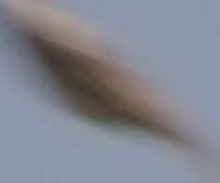 UFO Napoli foto super ingrandimento ingrandita