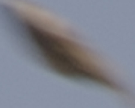 UFO Napoli foto ingrandita