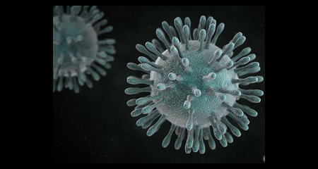 Virus polmonite