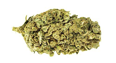 Bubblegum Cannabis legale