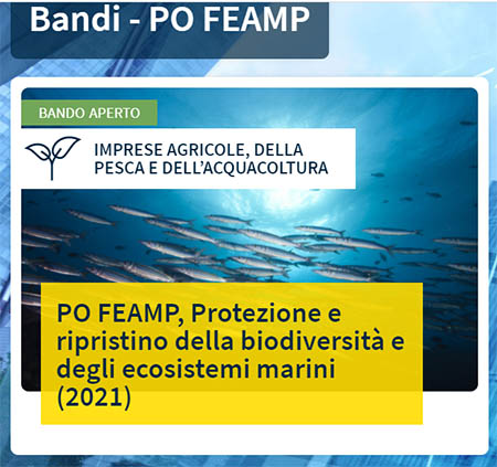Bando FEAMP per protezione biodiversità ed ecosistemi marini Lazio