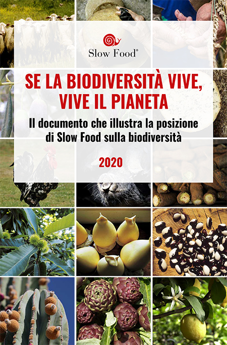 'Se la biodiversità vive, vive il pianeta'