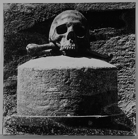 Skull and Crossbones - Mapplethorpe