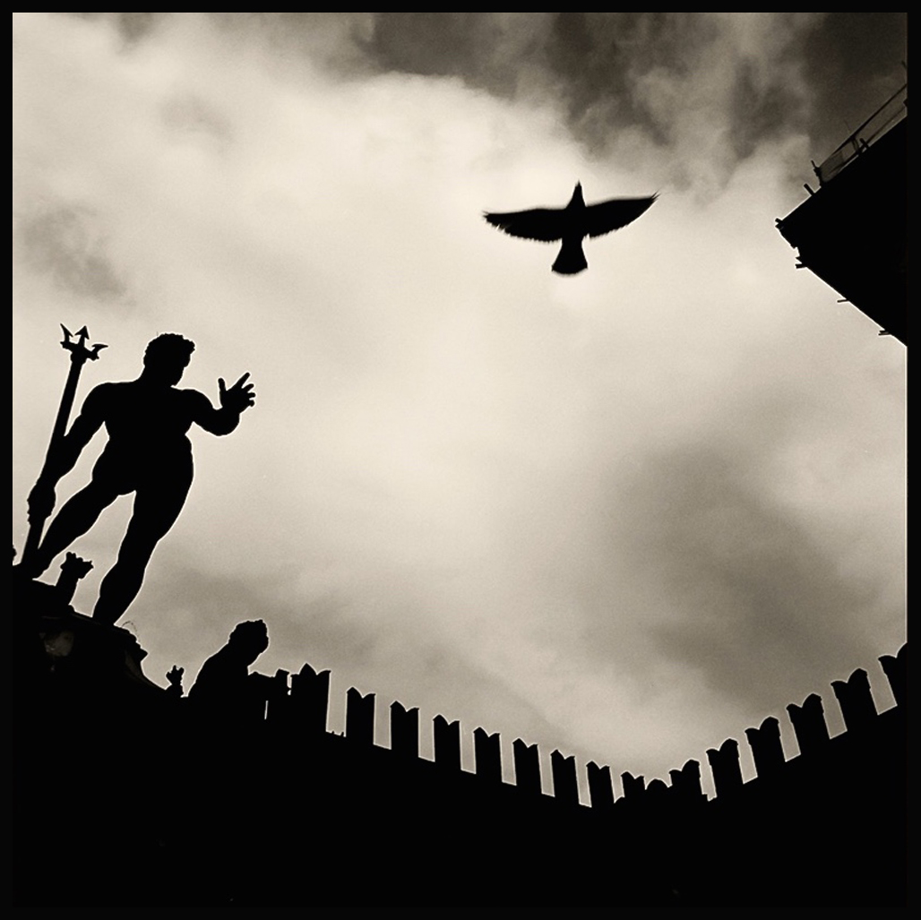 Le colombe nelle foto - Bologna - foto Augusto De Luca