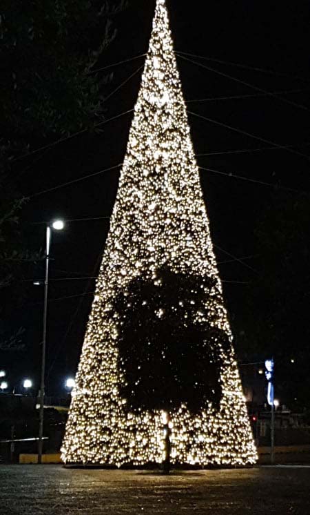 Albero di Natale in piazza Municipio a Napoli