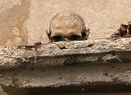 Teschio con orecchie nella chiesa di Santa Lucianella a Napoli 