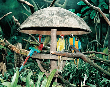 Armin Linke per la Diciassettesima Giornata del Contemporaneo, Jurong Bird Park, Singapore, 1999 - 2021