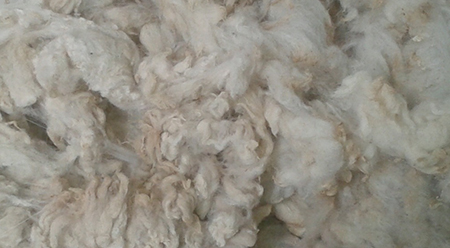 lana di pecora