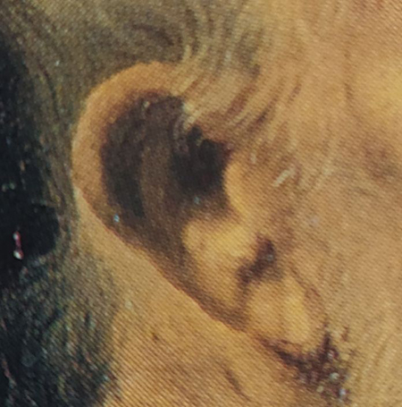 Giorgione, Le Tre Età dell'Uomo, particolare orecchio anziano