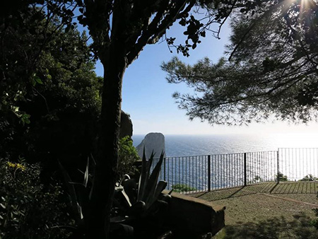 Parco della Certosa San Giacomo a Capri (NA)